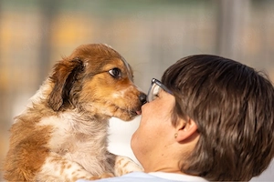     Wer komponiert mit Beethoven sein Happy End? 