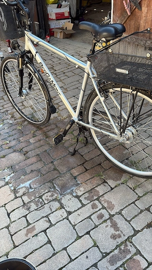 Bergamont Satelite Trekkingrad mit Rücktrittbremse und 2 Einkaufskörbe Bild 5