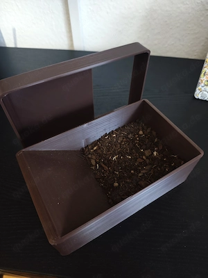 Eierlegebox, Eiablage für Kronengecko   Geckos Bild 4