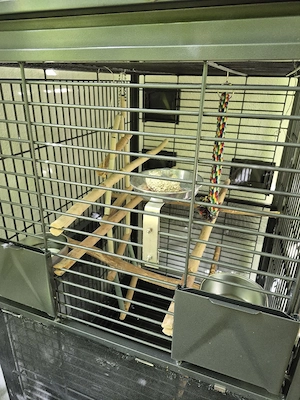 Großer Vögelkäfig mit Zubehör- komplett  Bild 2