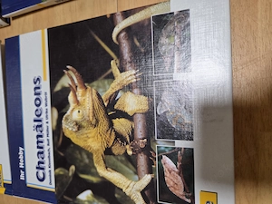 Verschiedene Reptielien Bücher  Bild 2