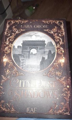 Buch City of Dust and Shadows von Lara Große in Deutsch