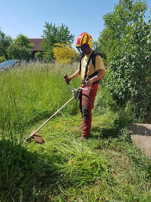 Mulcharbeiten, Mulchen, Mähen, Mäharbeiten, Freischneider Bild 5