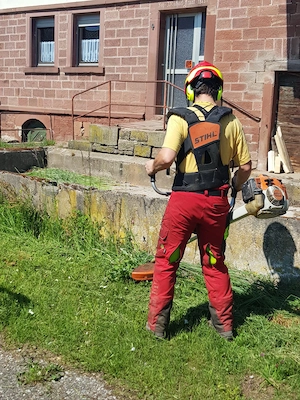 Unkrautzupfen, Unkrautjäten, Gartenarbeit, Gartenpflege, Grabpflege