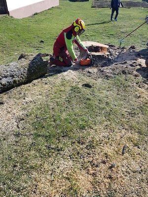Mulcharbeiten, Mulchen, Mähen, Mäharbeiten, Freischneider Bild 10