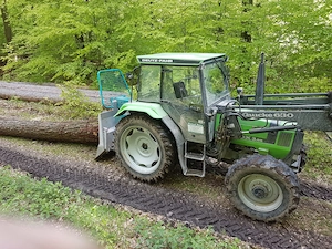 Mulcharbeiten, Mulchen, Mähen, Mäharbeiten, Freischneider Bild 3