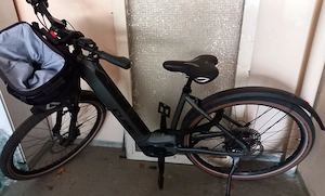 E-Bike Typ Nuride Hybr. SL 750 Allr.