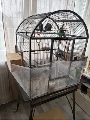 Große Vögel Käfig Montana 