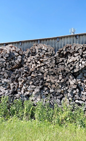 Brennholz Buche Esche
