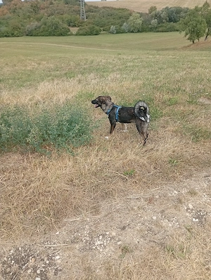 Shila sechs Monate möchte die Welt entdecken Bild 4