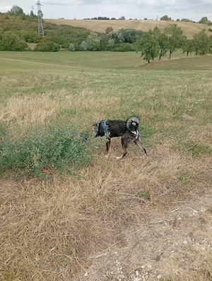Shila sechs Monate möchte die Welt entdecken Bild 2