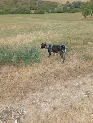 Shila sechs Monate möchte die Welt entdecken Bild 3