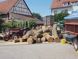 Spalten, Spaltservice, Brennholz spalten, Brennholzverarbeitung