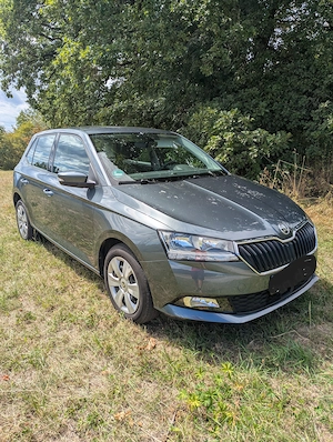 Skoda Fabia 1.0 Ambition App Connect SHZ PDC Klimaautomatik