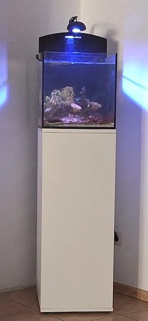Meerwasser Aquarium Aqua Medic Blenny 80ltr 