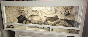 Terrarium mit Ausstattung