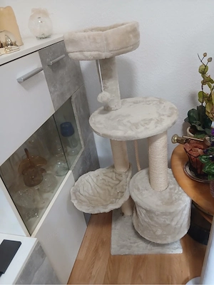 kratzbaum katzen 
