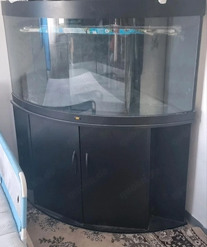 Aquarium ,  Eck-Aquarium  Schwarz 450 L