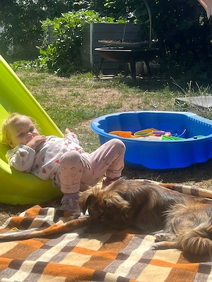 Hündin sucht ein Zuhause 