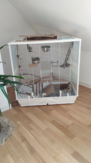 Neuwertiger großer VogelKäfig 