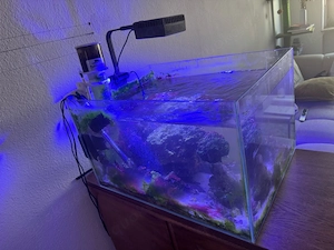 112l Meerwasser aquairum 