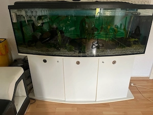 Aquarium Zum Verkaufen