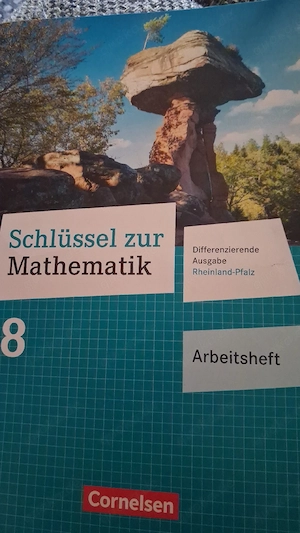 Arbeitsheft Mathematik 8. Klasse