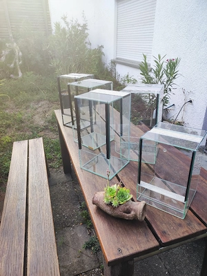 Terrarium 