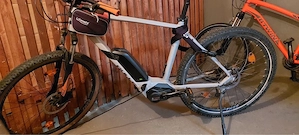 Ebike bulls