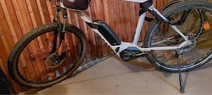 Ebike bulls
