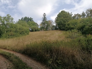 Großes sonniges Naturgrundstück bei Wilhermsdorf   Provisionsfrei!