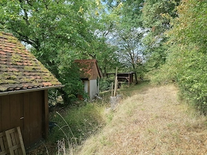 Großes sonniges Naturgrundstück bei Wilhermsdorf   Provisionsfrei! Bild 7