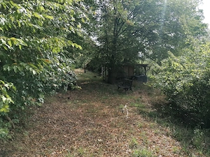Großes sonniges Naturgrundstück bei Wilhermsdorf   Provisionsfrei! Bild 3