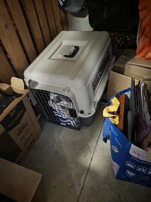 Transportbox 