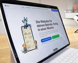 Webseite für Handwerker, Hausmeister, Elektriker, Maler, Reinigungsfirma ab 349 Euro