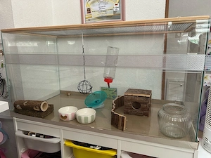 Kleintier-Terrarium mit Zubehör