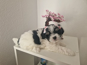 Eine wunderschöne Prinzessin 