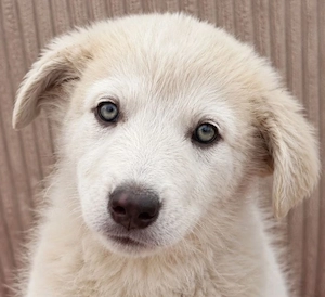 Lulu - besondere Lady sucht dich!