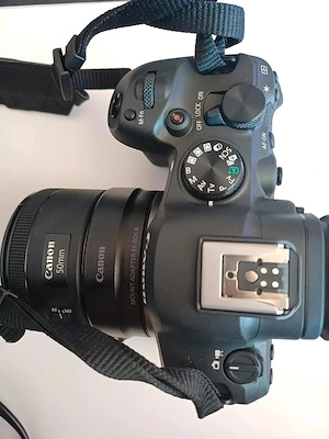 Canon EOS R6 Mark 