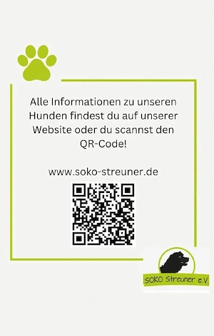 Asterix  hat eine traurige Geschichte  Bild 4