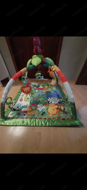 Baby Spielebogen von Fisher Price