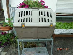 Hunde Box für Hunde