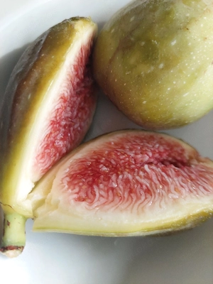 Frische feigen und Feigenbaum 