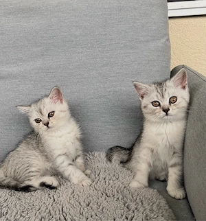 2 BKH Mädchen 