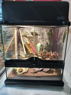 Terrarium Exo Terra