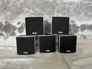 5 Teufel CE 20 FCR, 5x Teufel CE 10 FCR Lautsprecher Satelliten.