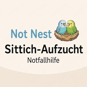 Sittich aufzucht