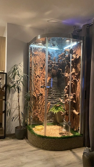 Terrarium für Schlangen