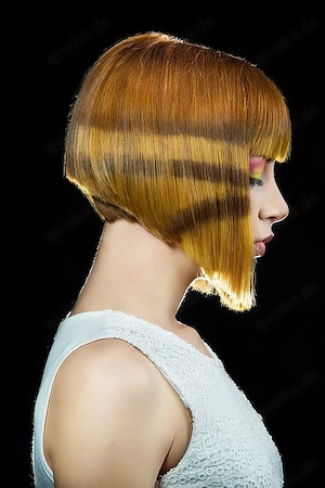 **Frau mit sehr langen Haaren für freiwilligen Haarschnitt gesucht   Vergütung vereinbar**