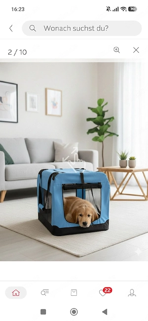 Hundebox abzugeben 